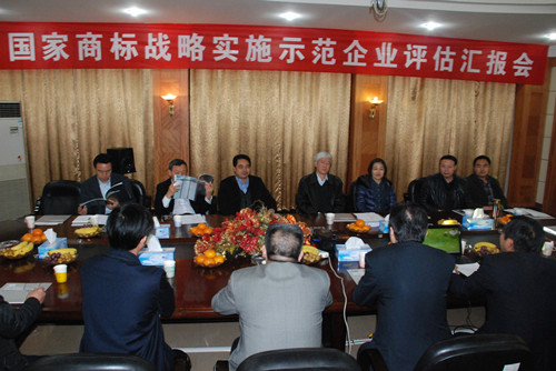 國家商標戰(zhàn)略實施示范工作督導組到仁和集團檢查指導工作